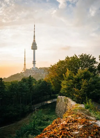 A hilltop tower above woodland turning red and gold